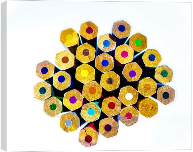 Hex Wooden Colours on White Canvas Print by Ian Johnston  LRPS