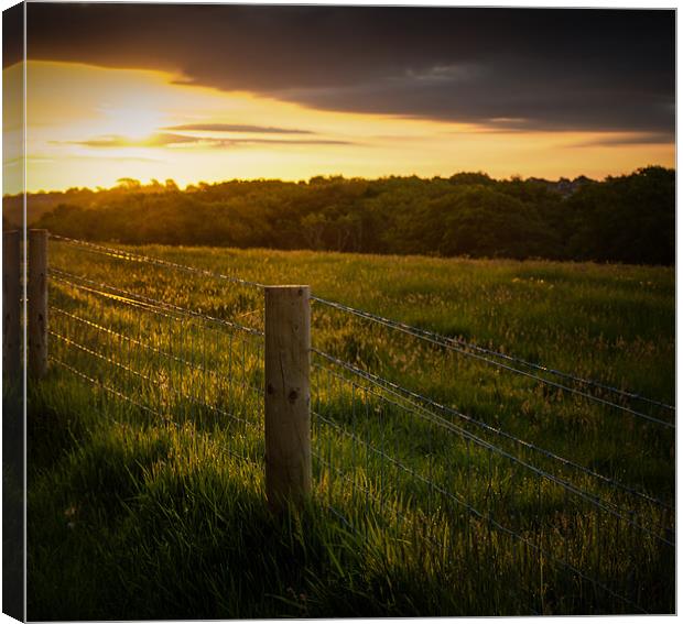 Golden Fence Canvas Print by Ian Johnston  LRPS