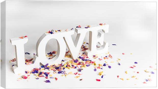 Love & Marriage Canvas Print by Ian Johnston  LRPS