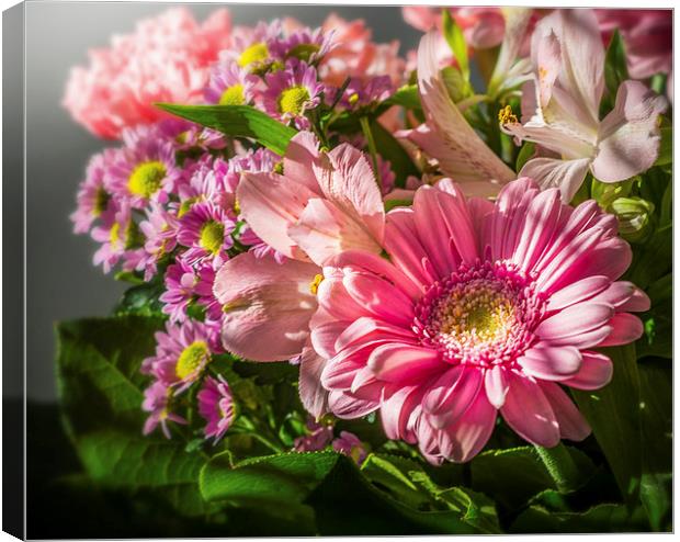 Some simple flowers and some sunshine Canvas Print by Ian Johnston  LRPS