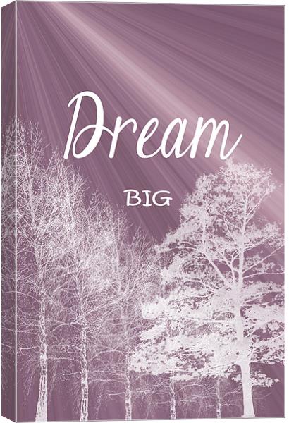 Dream Big Canvas Print by iphone Heaven