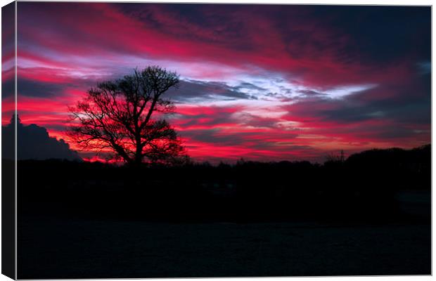 Dramatic Sky at dawn Canvas Print by Paul Scoullar