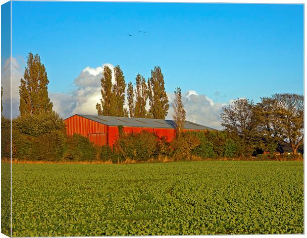 Red Barn Canvas Print by Paul Scoullar