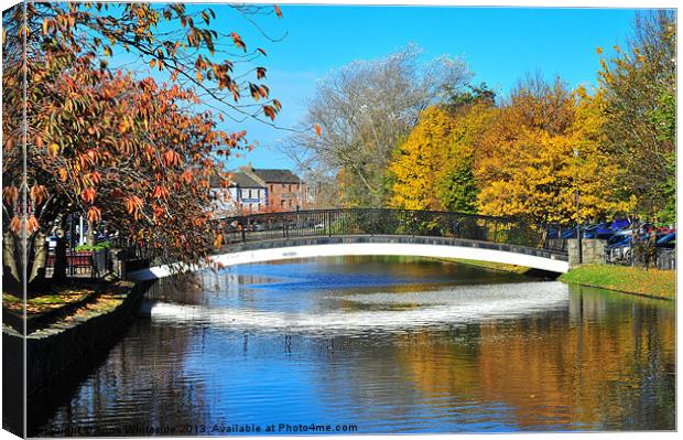 Newry Canal Canvas Print by Anne Whiteside