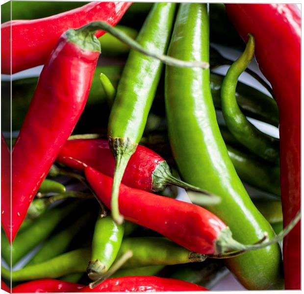Chillies Canvas Print by Anne Whiteside
