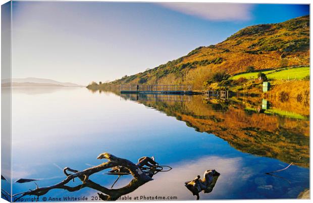 Calm Waters Canvas Print by Anne Whiteside