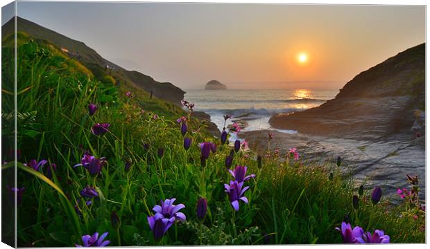 Cornwall: Flowers at the Strand Canvas Print by Rob Parsons