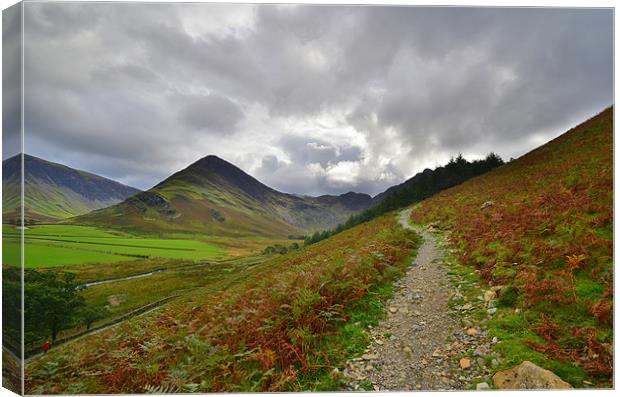 The Lake District: Heading up Canvas Print by Rob Parsons