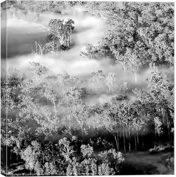 Woodland in the mist Canvas Print by carolyn stewart