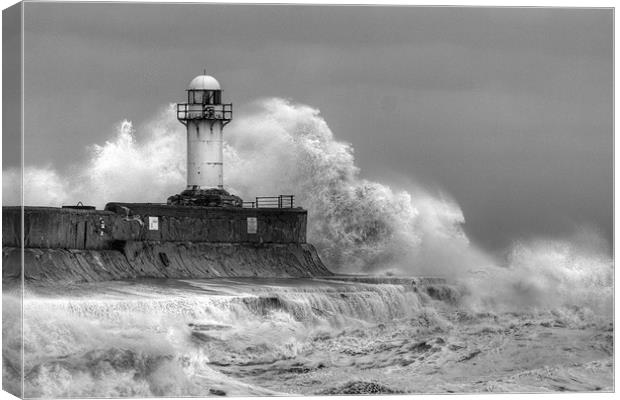 Winter Waves Canvas Print by Mark Elsworth