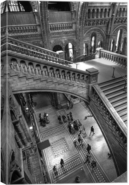 Natural History Museum, London Canvas Print by Ian Rolfe