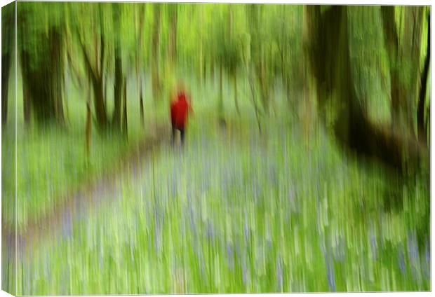 Dreaming of Bluebells Canvas Print by Rob Smith