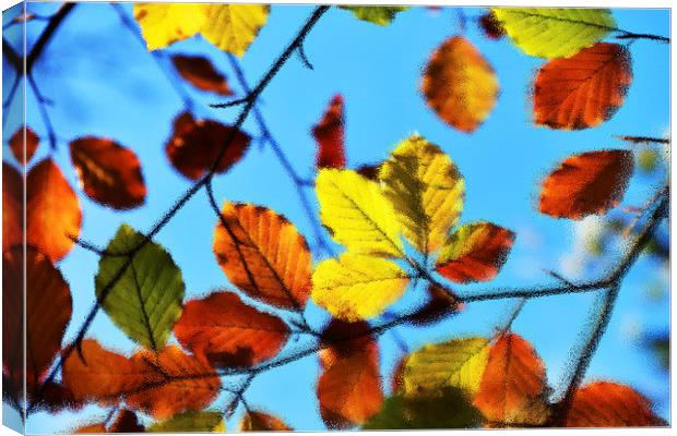  Impressions of Autumn Canvas Print by Rob Smith