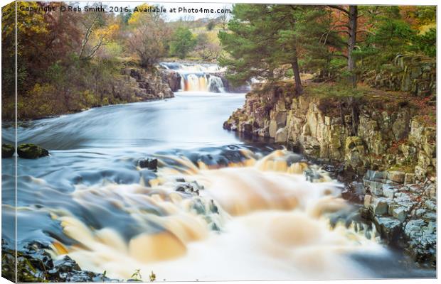 The River Tees at Low Force waterfall Canvas Print by Rob Smith