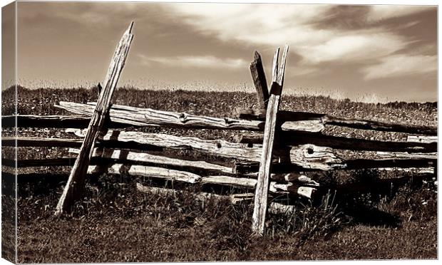 County Field Canvas Print by Mary Lane