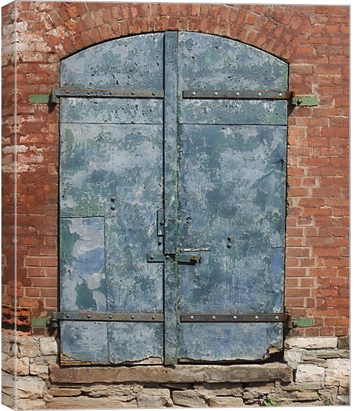 Old Door Canvas Print by Mary Lane