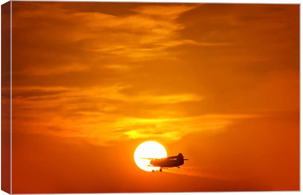 Sunset with Plane Canvas Print by Mary Lane