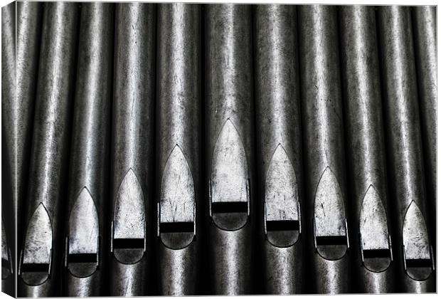 Great Set of Pipes Canvas Print by Mary Lane