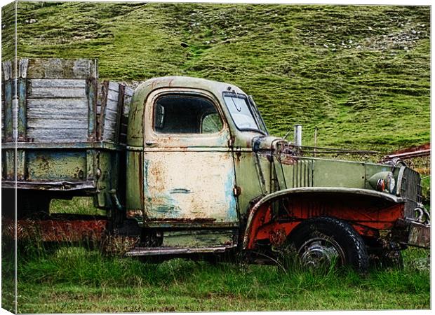 Old Truck Canvas Print by Mary Lane