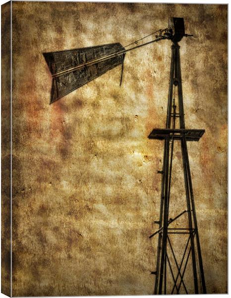 Old Wind Power Canvas Print by Mary Lane