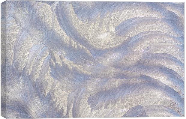 Frost Canvas Print by Mary Lane