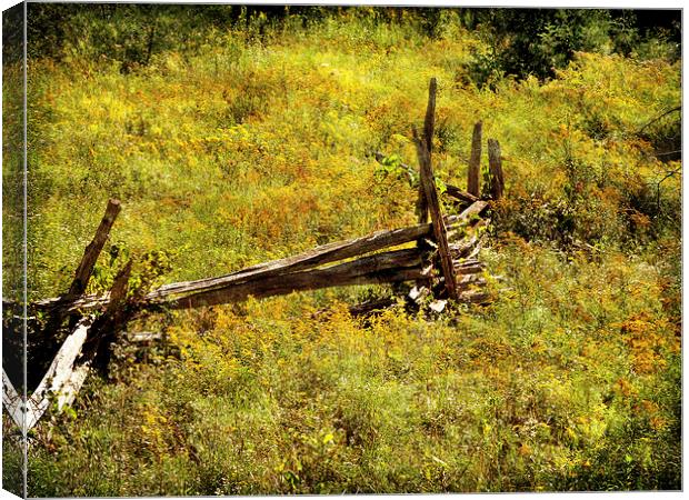 Fence Canvas Print by Mary Lane