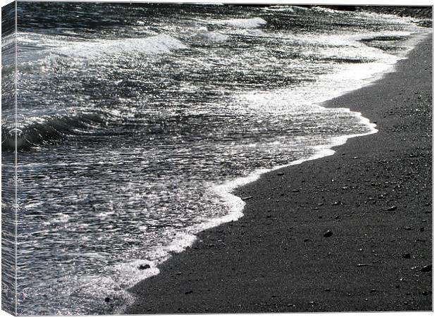 Black Lace Beach 5 Canvas Print by Mary Lane