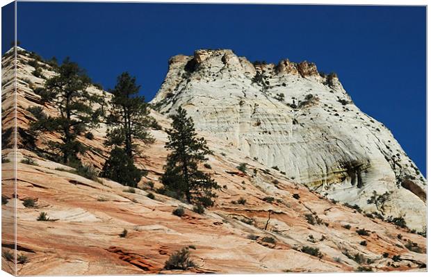 Zion Beehive Canvas Print by Mary Lane