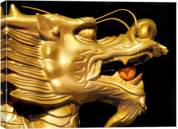 Golden Dragon Canvas Print by Mary Lane