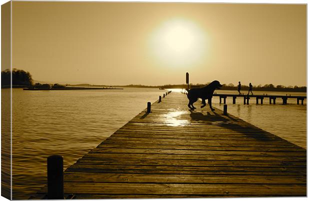 Muckross Jetty Kesh Canvas Print by Kim McDonell