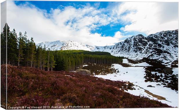 Corrie Fee Canvas Print by Fay Vincent