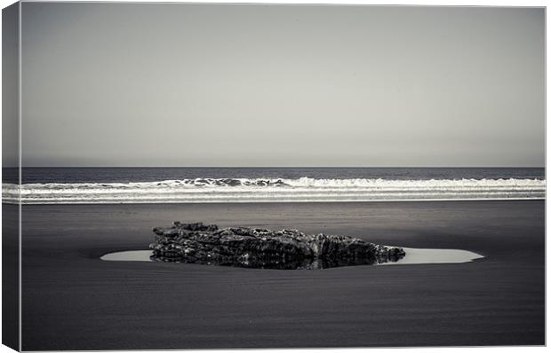 Rock-pool Canvas Print by lee wilce