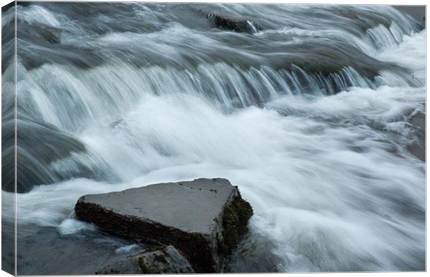 Stream Canvas Print by lee wilce