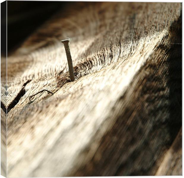 Nail in wood Canvas Print by christopher darmanin
