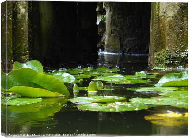 Victorian Fountain Lilly Pads Canvas Print by Jez Mouncer