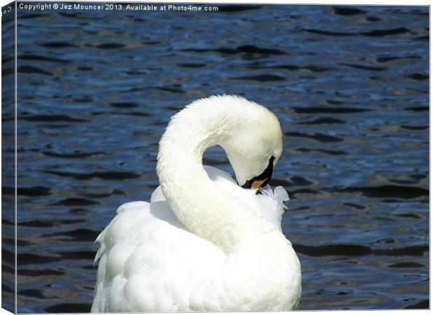 S for Swan Canvas Print by Jez Mouncer