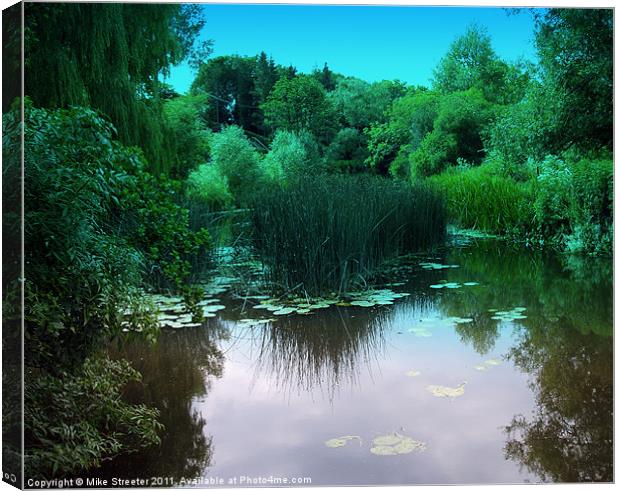 Lily Pond Canvas Print by Mike Streeter