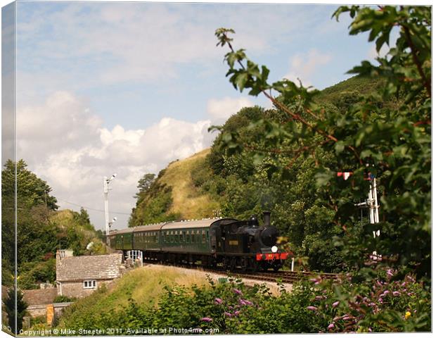 Country Branchline Canvas Print by Mike Streeter