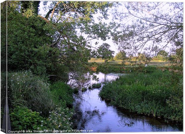 Quiet Backwater Canvas Print by Mike Streeter