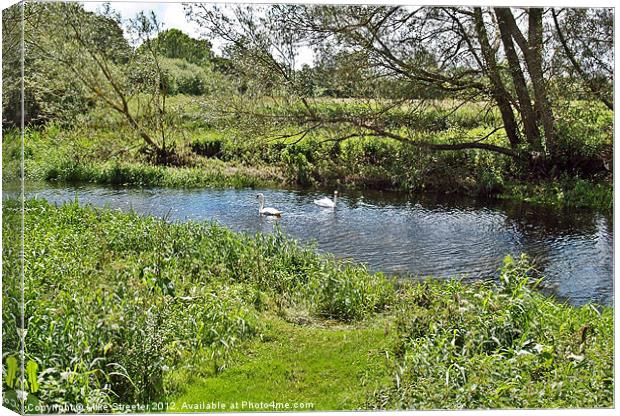 Swans on the Stour Canvas Print by Mike Streeter
