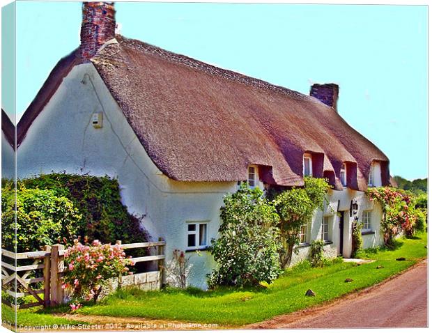 Country Cottage Canvas Print by Mike Streeter