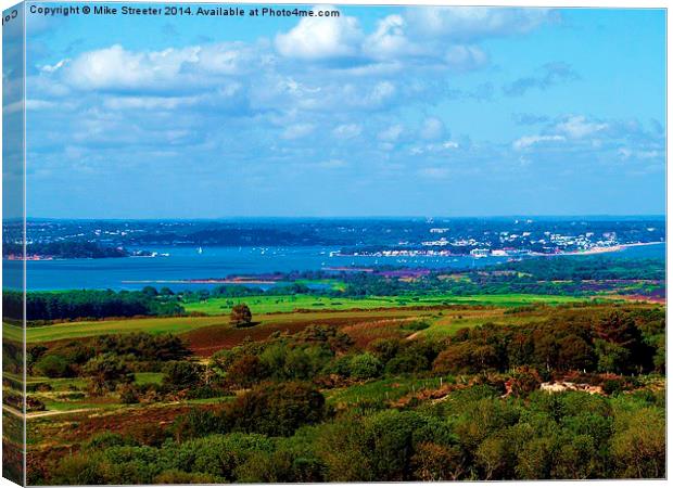 View from the top 3 Canvas Print by Mike Streeter