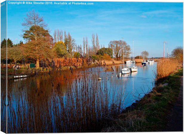  The River Frome 2 Canvas Print by Mike Streeter