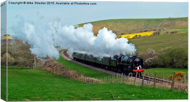  Britannia in Purbeck Canvas Print by Mike Streeter