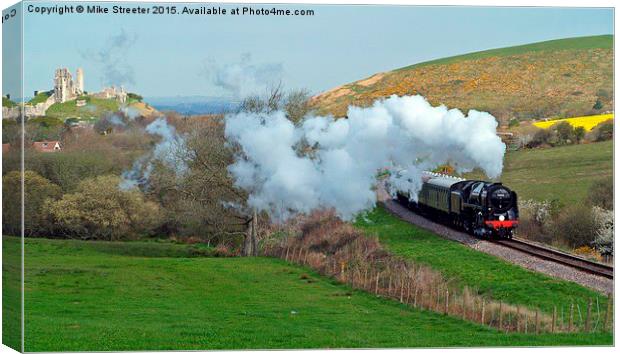  Britannia in Purbeck 2 Canvas Print by Mike Streeter