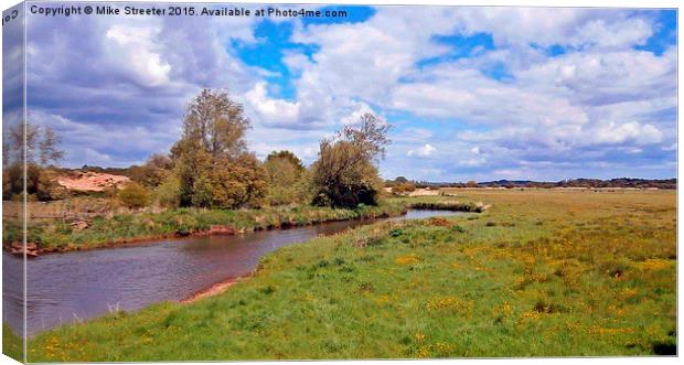  The River Frome 3 Canvas Print by Mike Streeter