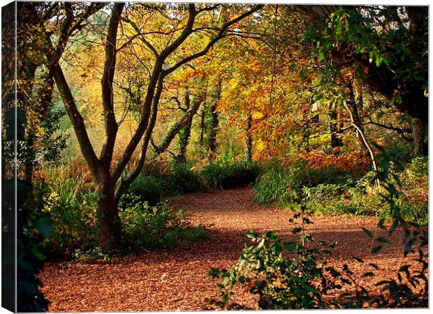  Autumn Colours Canvas Print by Mike Streeter