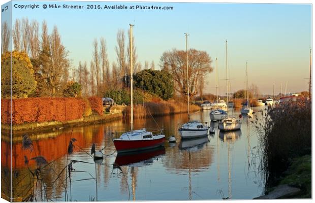 The River Frome in November Canvas Print by Mike Streeter