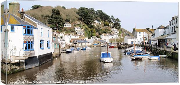 Fishing Village Canvas Print by Mike Streeter