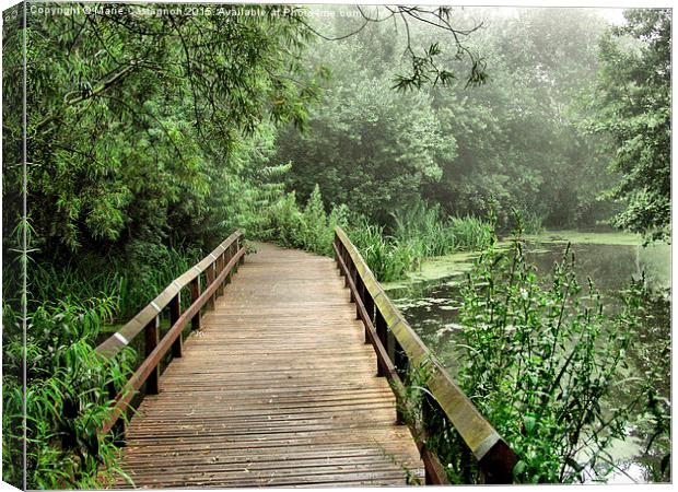  A Walk Into The Unknown Canvas Print by Marie Castagnoli